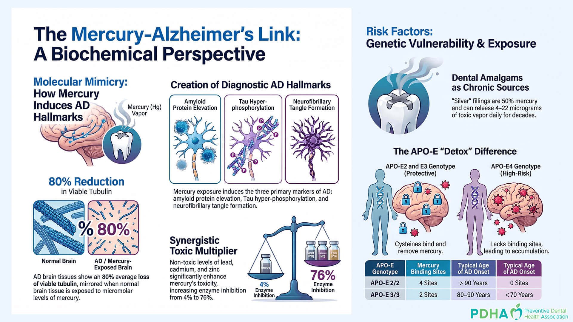 Mercury-Alzheimer_s_Link_Biochemical_Perspective (2)