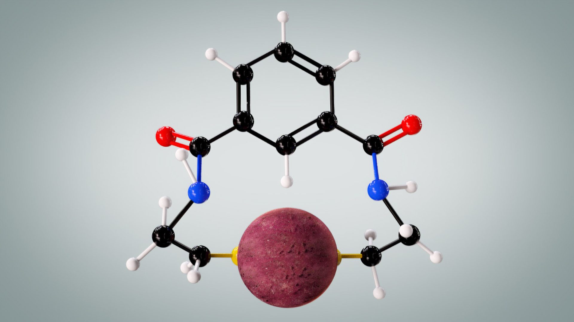 molecule-2024-large
